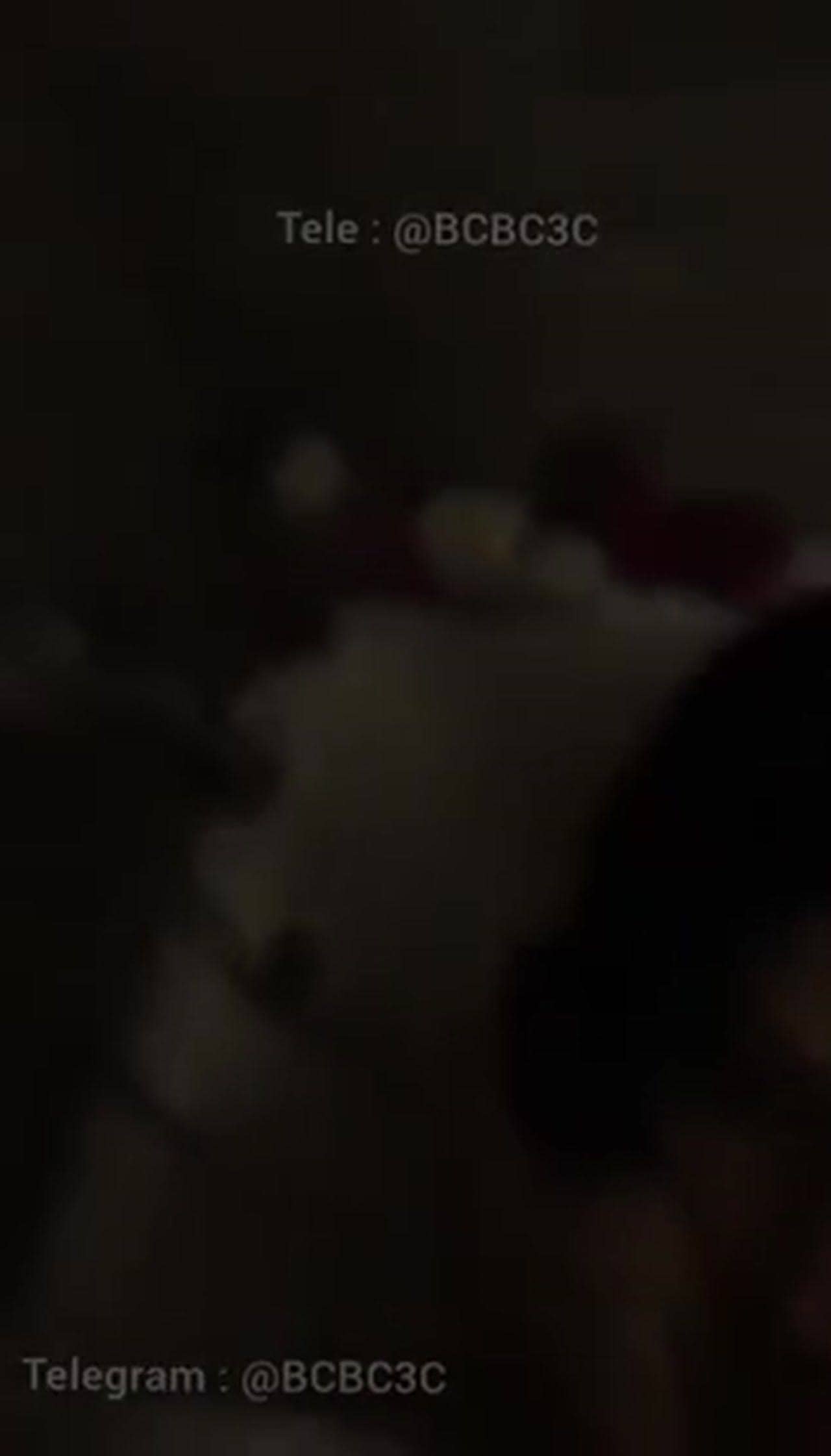 سكس هيفاء وهبي فيديو مص
